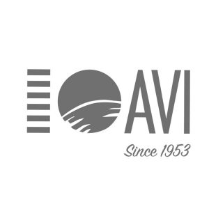 AVI travel